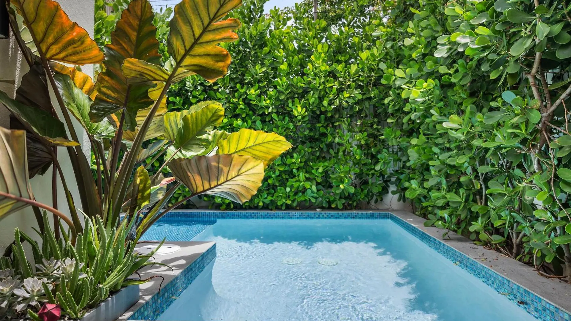 Hotel The Weekender By Otium San Juan